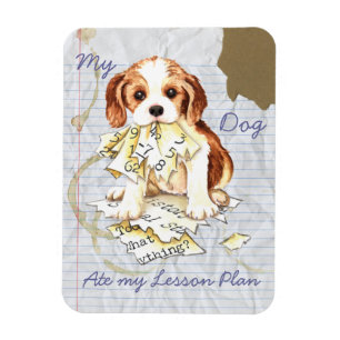 My Cavalier Ate My Lesson Plan Magnet