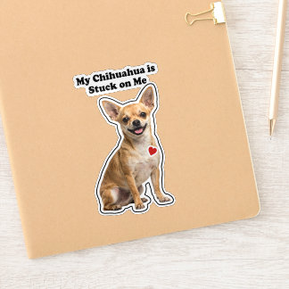 My Chihuahua Is Stuck On Me Dog Lover