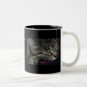 My Children All Have Paws! Cat Mug