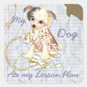 My Chinese Crested Ate My Lesson Plan Square Sticker
