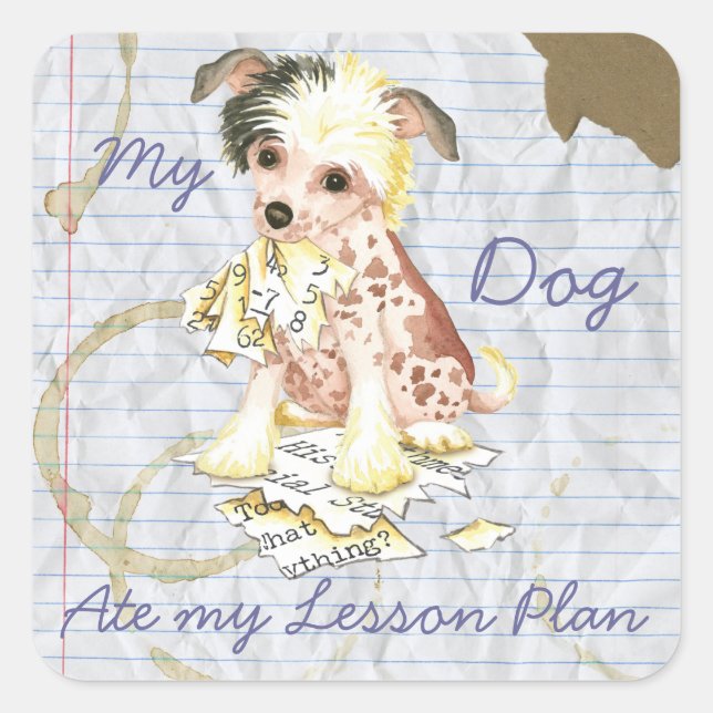 My Chinese Crested Ate My Lesson Plan Square Sticker (Front)