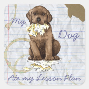 My Chocolate Lab Ate my Lesson Plan Square Sticker