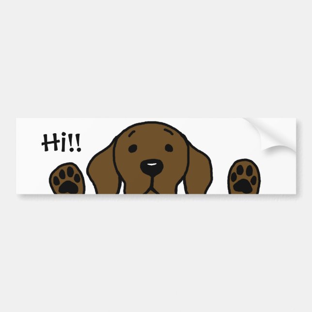 My Chocolate Lab "Hi!!" Bumper Sticker (Front)