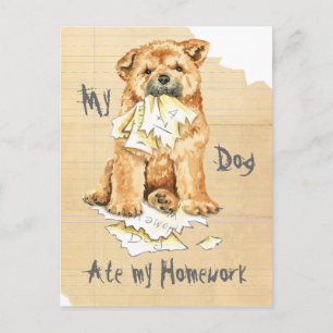 My Chow Chow Ate My Homework Postcard
