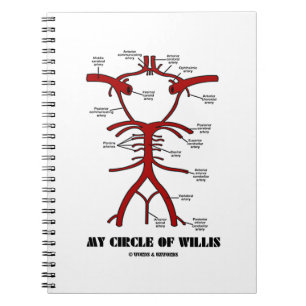 My Circle Of Willis (Anatomical) Notebook