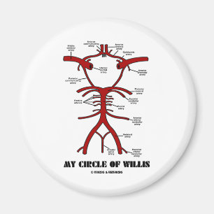 My Circle Of Willis (Arteries Anatomical Humour) Magnet