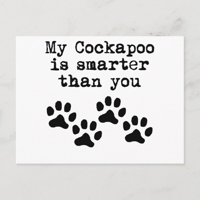My Cockapoo Is Smarter Than You Postcard (Front)