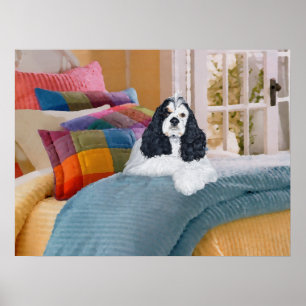 My Cocker Spaniel Lights up my Life Poster