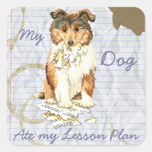 My Collie Ate My Lesson Plan Square Sticker