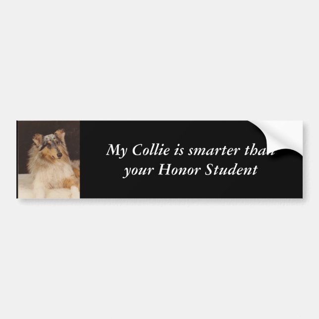 My Collie is smarter than your Hon... Bumper Sticker (Front)
