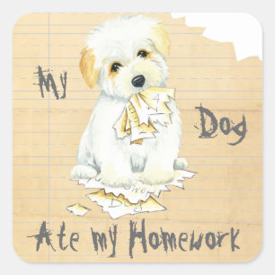 My Coton Ate My Homework Square Sticker