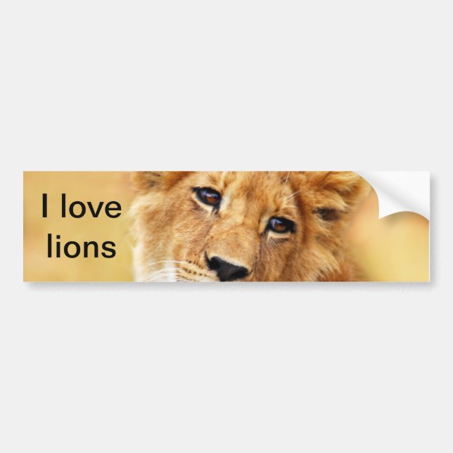 My cute lion face bumper sticker (Front)
