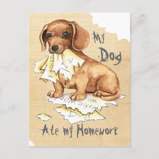 My Dachshund Ate My Homework Postcard (Front)