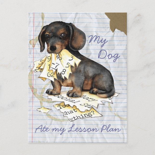 My Dachshund Ate My Lesson Plan Postcard (Front)