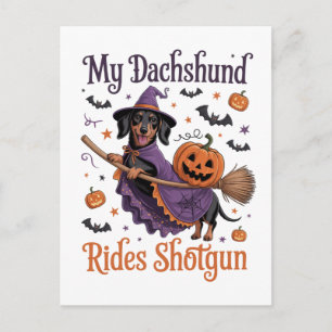 My Dachshund Rides Shotgun Holiday Postcard