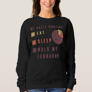 My Daily Routine Eat 5 Sleep 5 Walk My Labrador 90 Sweatshirt