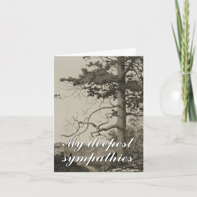 "My deepest sympathies" Funeral Sympathy Card (Front)