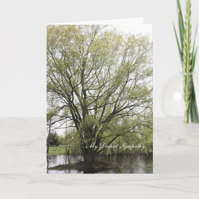 My Deepest Sympathy Card (Front)