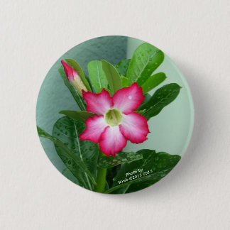 My Desert Rose 6 Cm Round Badge