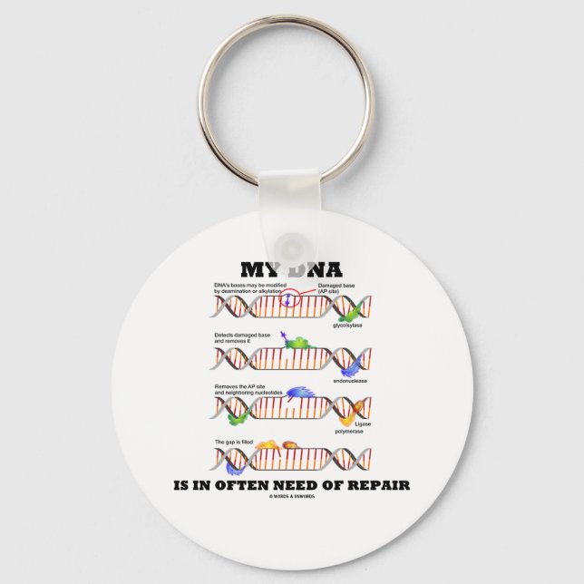 My DNA Is In Often Need Of Repair (DNA Humour) Key Ring (Front)
