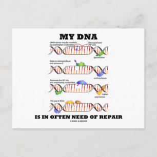 My DNA Is In Often Need Of Repair (DNA Humour) Postcard