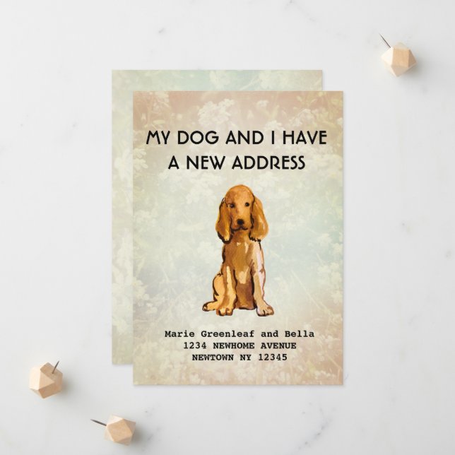 My dog and I have moved Announcement (Front/Back In Situ)