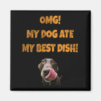 My dog ate my best dish stainless steel water bott