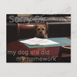 my dog ate my homework postcard