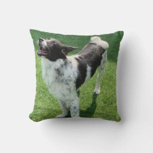 My dog cushion