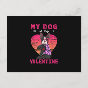 My Dog Is My Valentine Boston Terrier Leopard Postcard