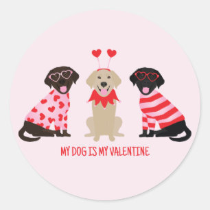 My Dog Is My Valentine Labrador Retriever Dogs Classic Round Sticker