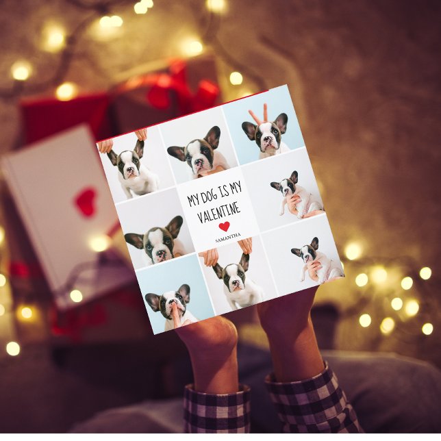 My Dog Is My Valentine | Two Dog Photos  (Creator Uploaded)