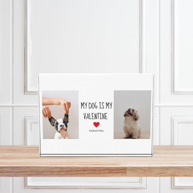 My Dog Is My Valentine | Two Dog Photos  (Creator Uploaded)
