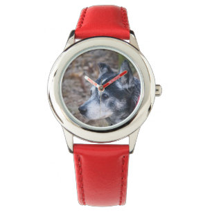 My dog kids watch