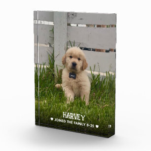 My Dog Photo Block