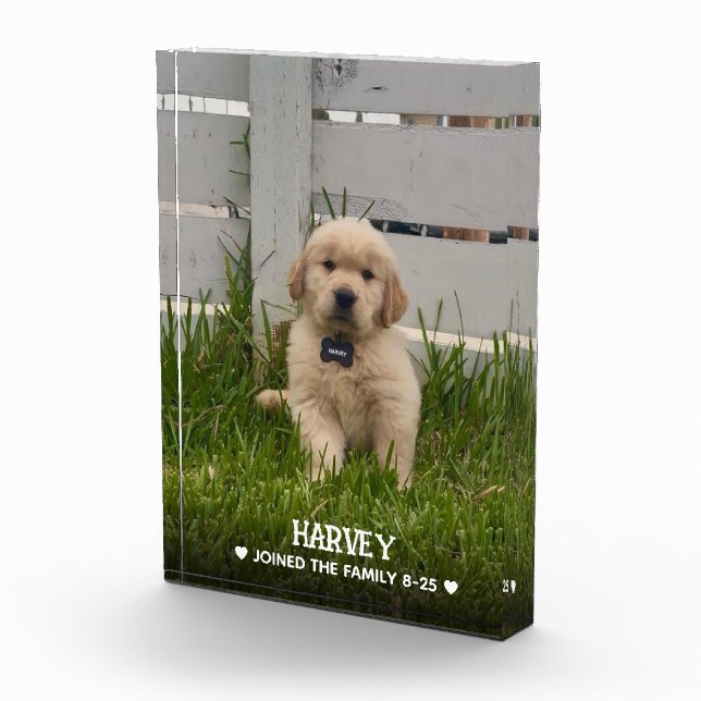 My Dog Photo Block (Right)