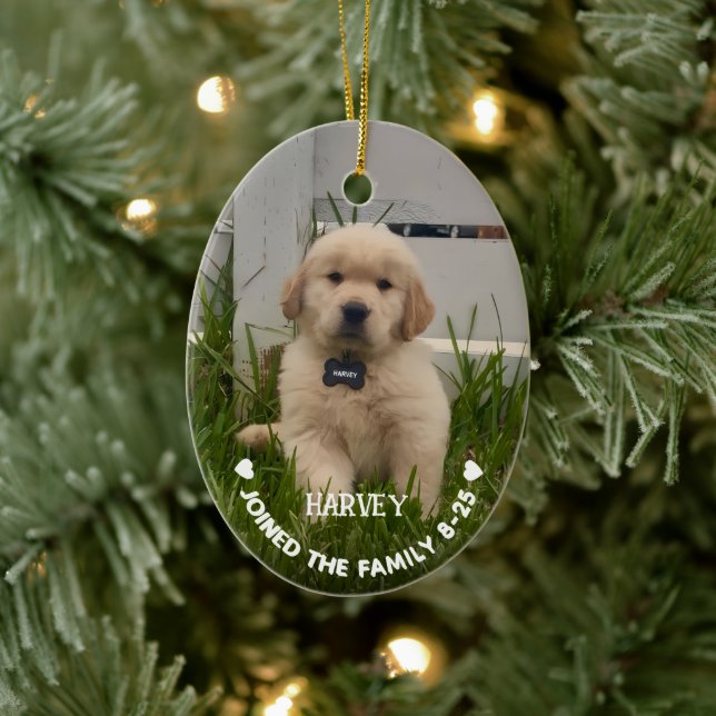 My Dog Photo Christmas Ceramic Ornament (Tree)