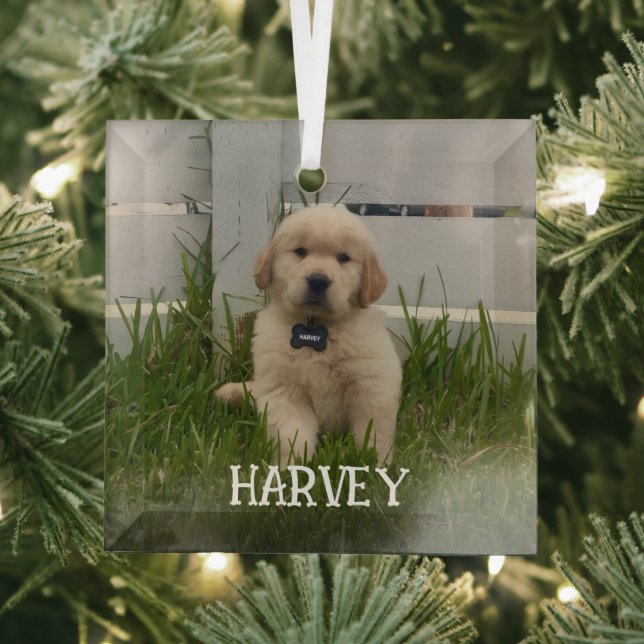 My Dog Photo Christmas Glass Tree Decoration (Insitu)
