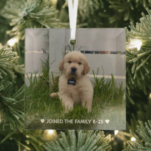 My Dog Photo Christmas Glass Tree Decoration