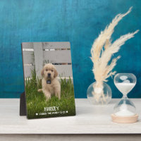 My Dog Photo