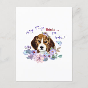 My Dog thinks I'm Perfect Dog Illustration Postcard