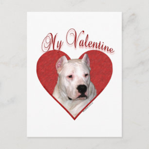 My Dogo Argentino Valentine Holiday Postcard