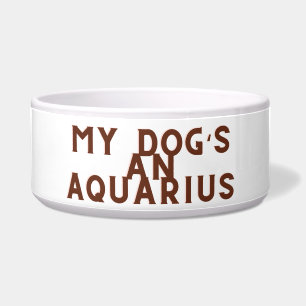 My dogs an Aquarius 
