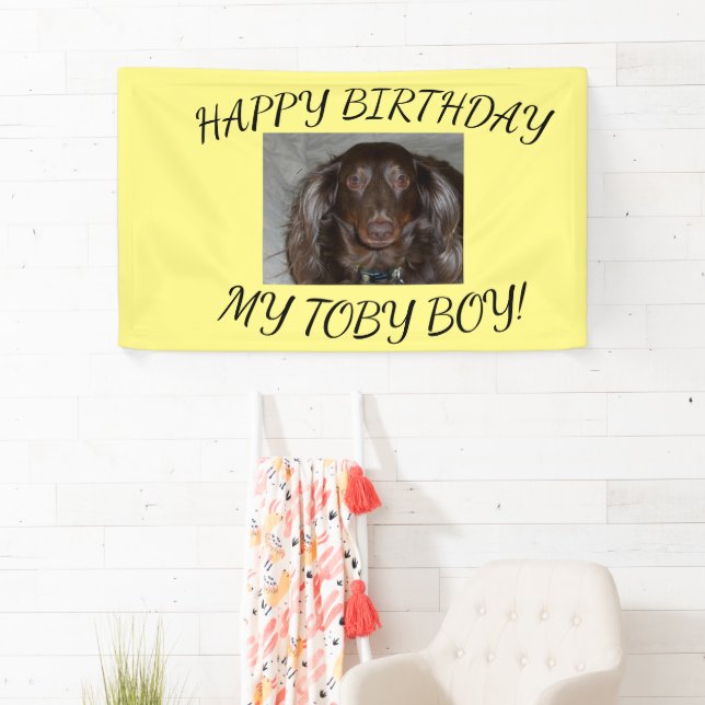 My Dog's Birthday Banner (Insitu)
