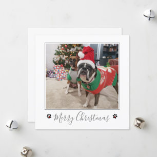 My Dogs Photo Merry Christmas Dog  Holiday Card