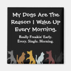 My Dogs Wake Me Up
