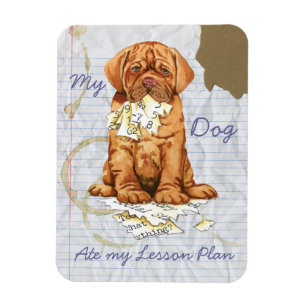 My Dogue de Bordeaux Ate My Lesson Plan Magnet