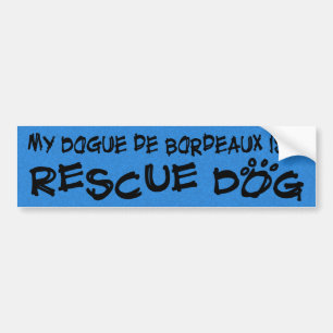 My Dogue de Bordeaux is a Rescue Dog Bumper Sticker