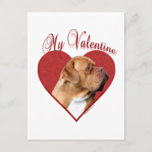 My Dogue de Bordeaux Valentine Holiday Postcard