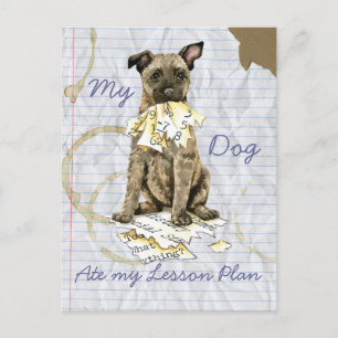 My Dutch Shepherd Ate my Lesson Plan Postcard
